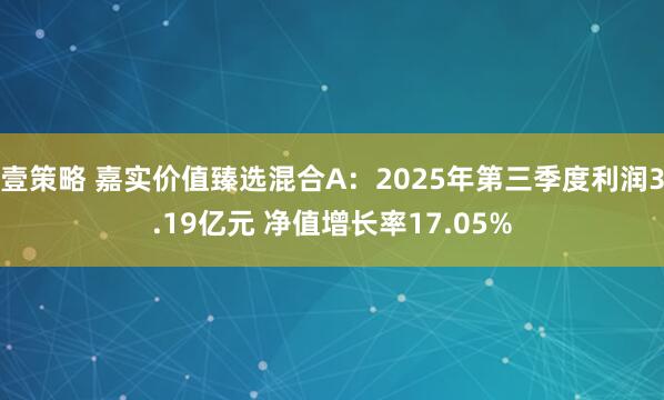 壹策略 嘉实价值臻选混合A：2025年第三季度利润3.19亿元 净值增长率17.05%