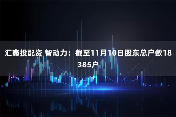 汇鑫投配资 智动力：截至11月10日股东总户数18385户