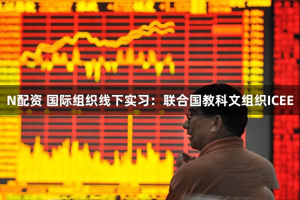 N配资 国际组织线下实习：联合国教科文组织ICEE