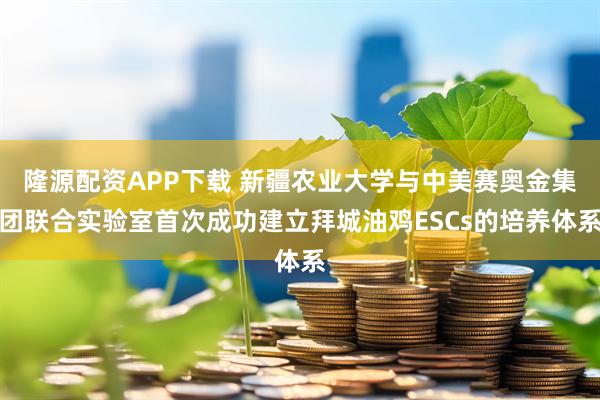 隆源配资APP下载 新疆农业大学与中美赛奥金集团联合实验室首次成功建立拜城油鸡ESCs的培养体系