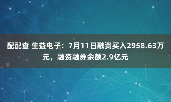 配配查 生益电子：7月11日融资买入2958.63万元，融资融券余额2.9亿元